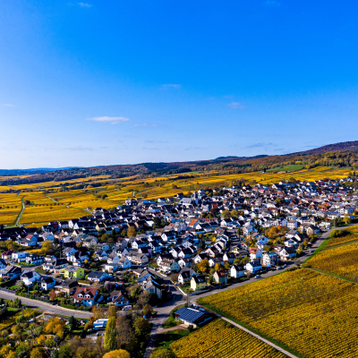 Blick von oben auf Oestrich-Winkel im Rheingau